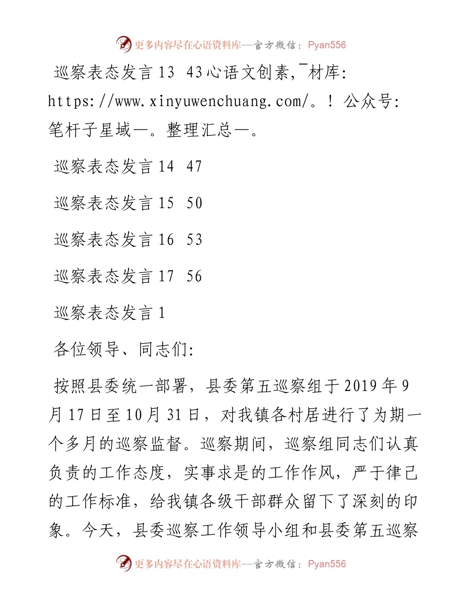 文汇系列4585--巡察表态发言汇编（17篇）.docx_第2页