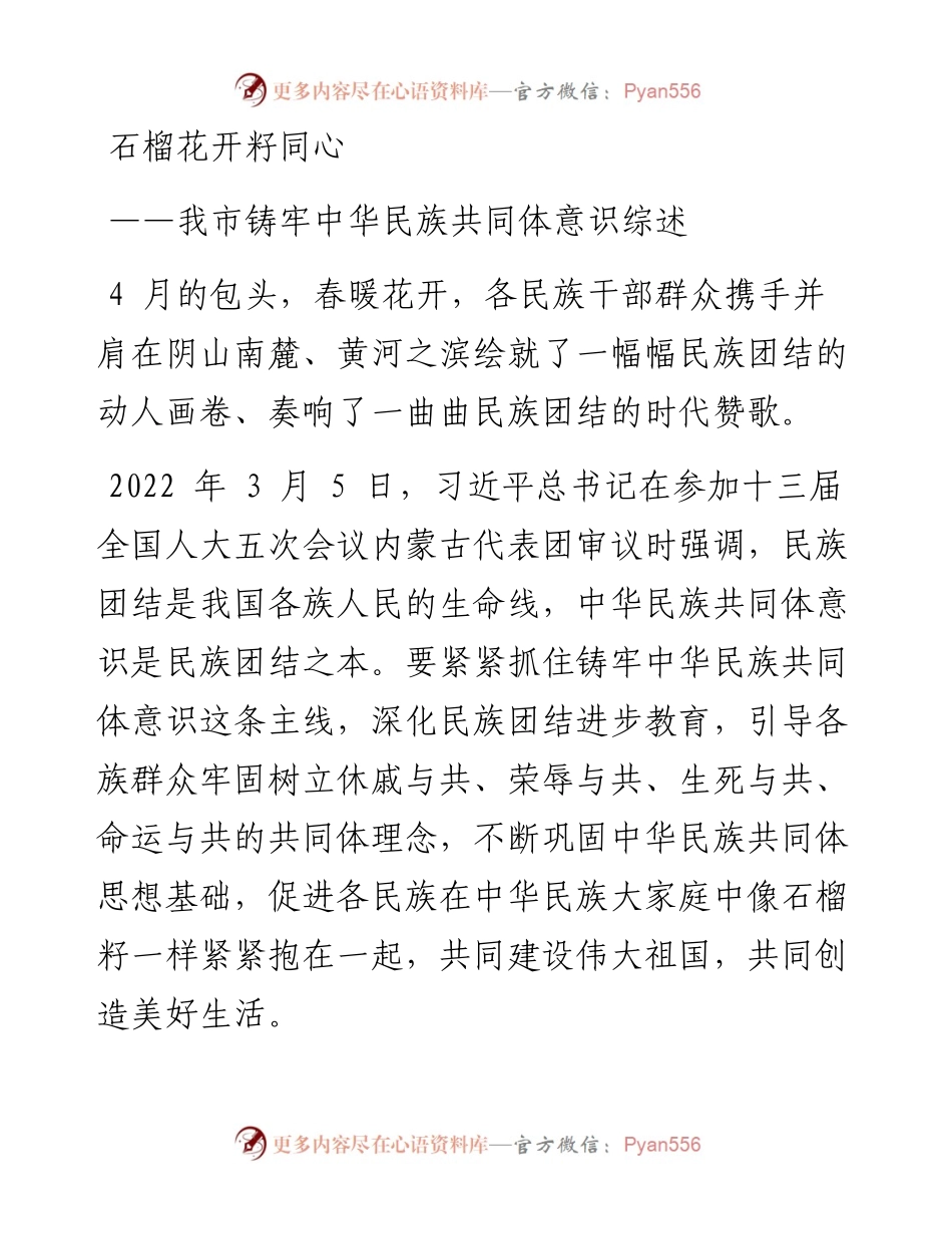 石榴花开籽同心.docx_第1页