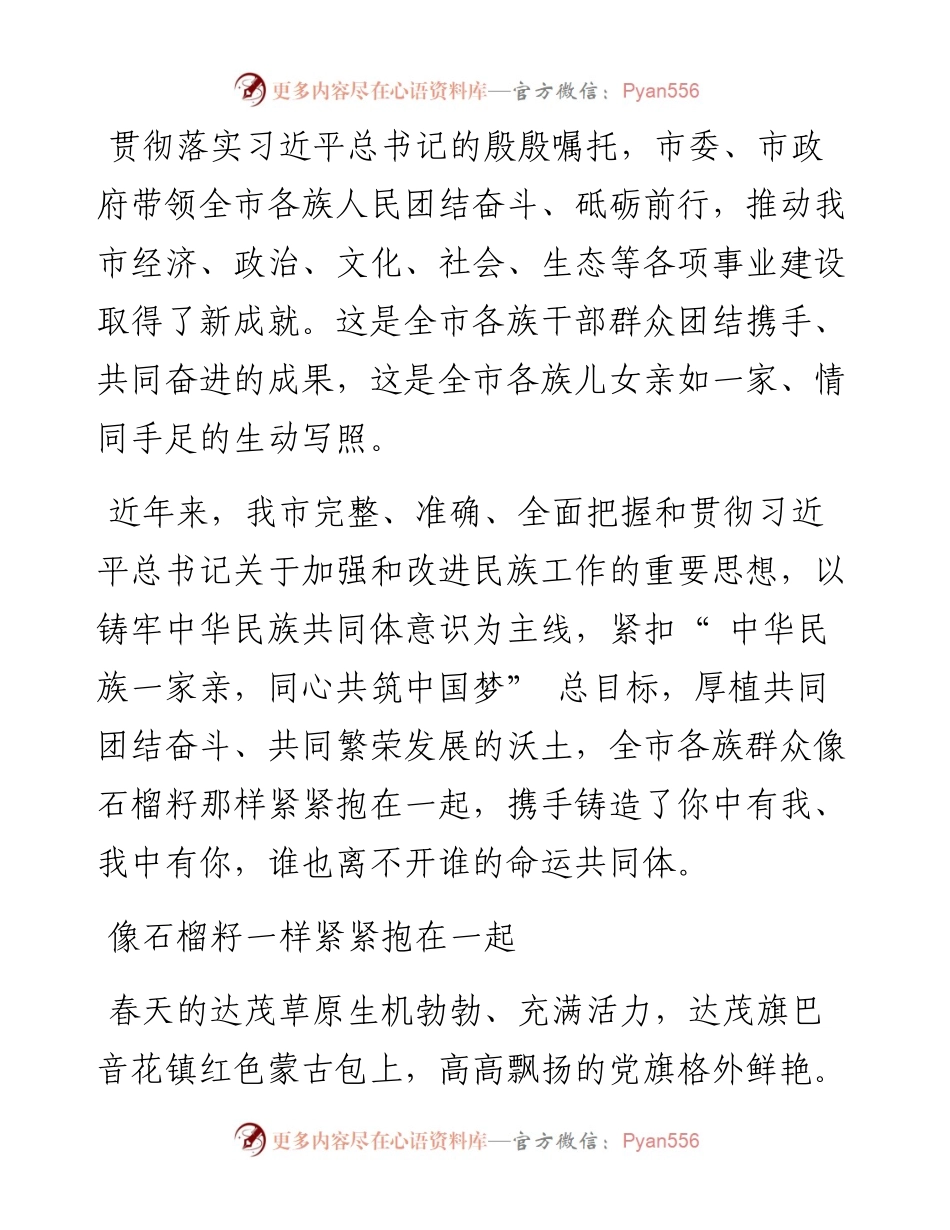 石榴花开籽同心.docx_第2页