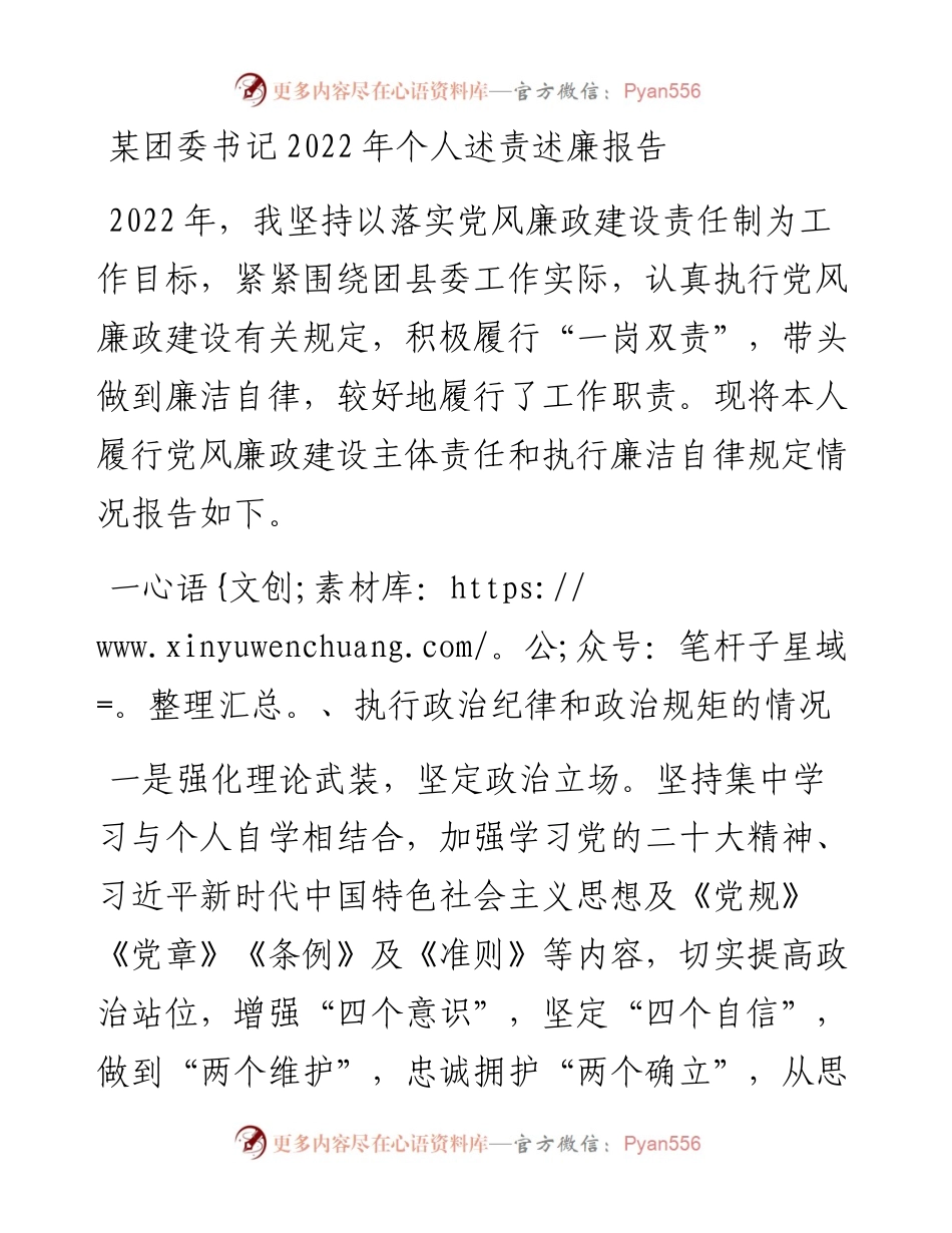 某团委书记个人述责述廉报告.docx_第1页