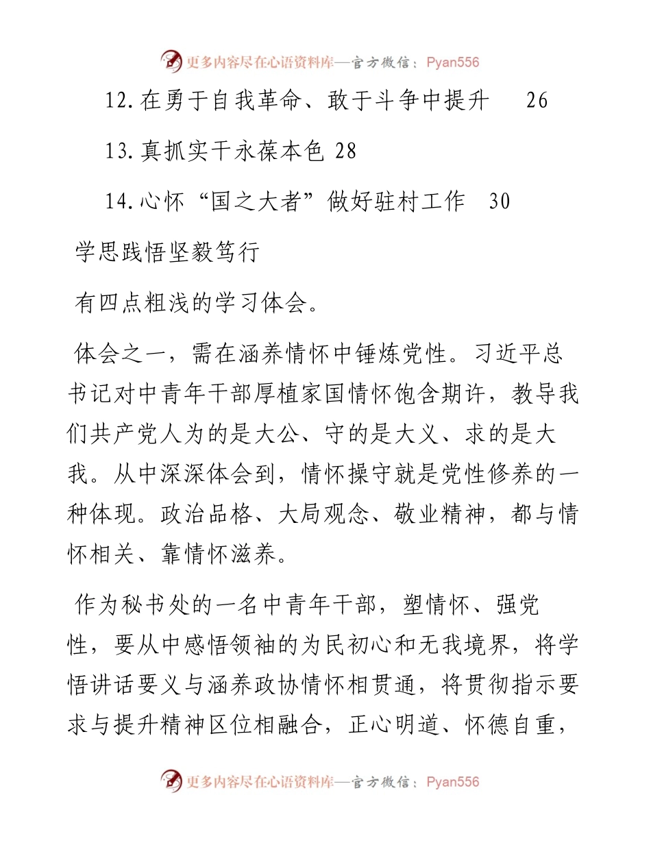 文汇系列4514--年轻干部在青年干部座谈会上的发言材料汇编（14篇）.docx_第2页