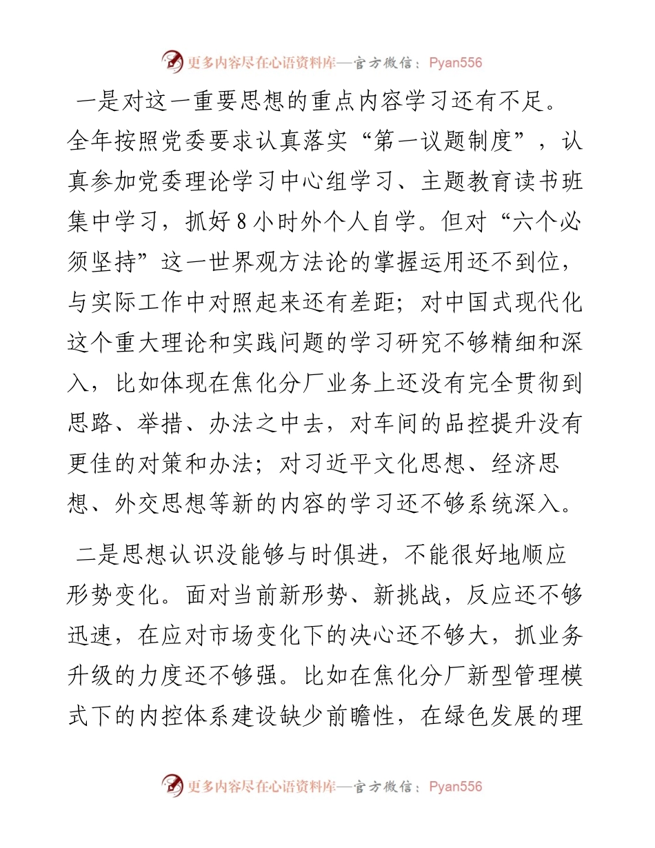 某国企公司党委书记2023年主题教育专题民主生活会个人对照检查材料.docx_第2页