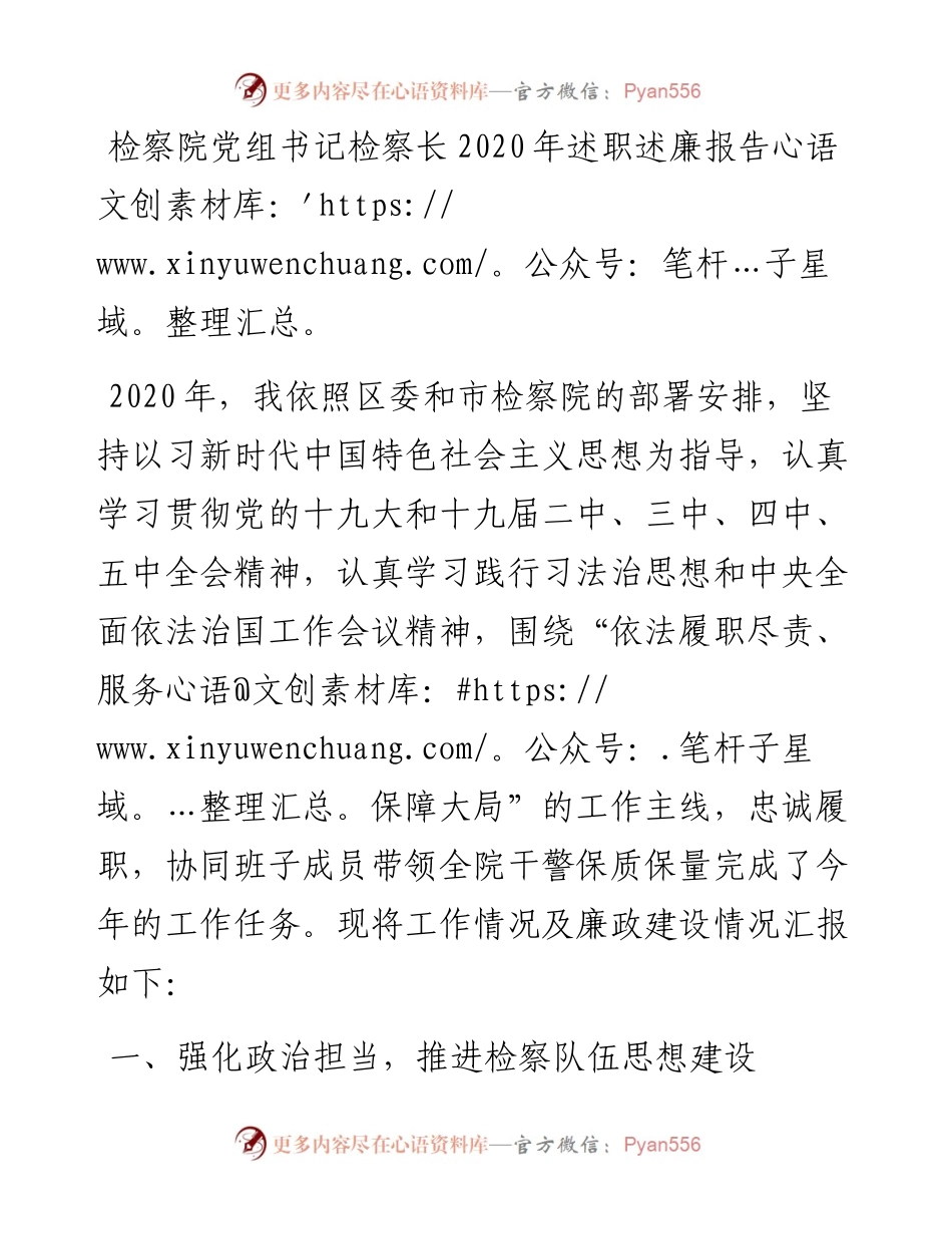 检察院党组书记检察长述职述廉报告(1).docx_第1页