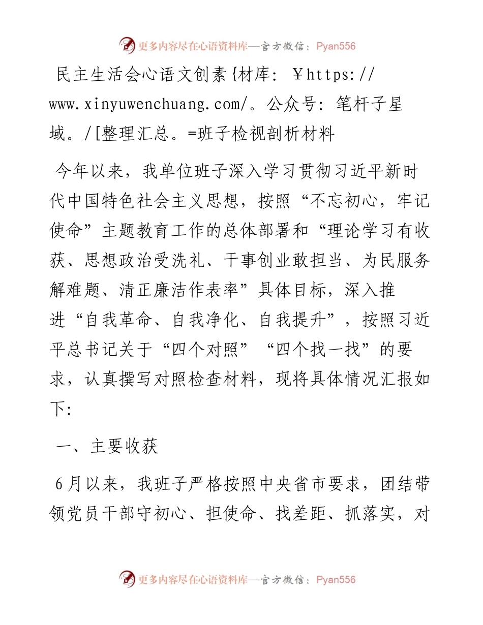 民主生活会班子检视剖析材料 (2).docx_第1页