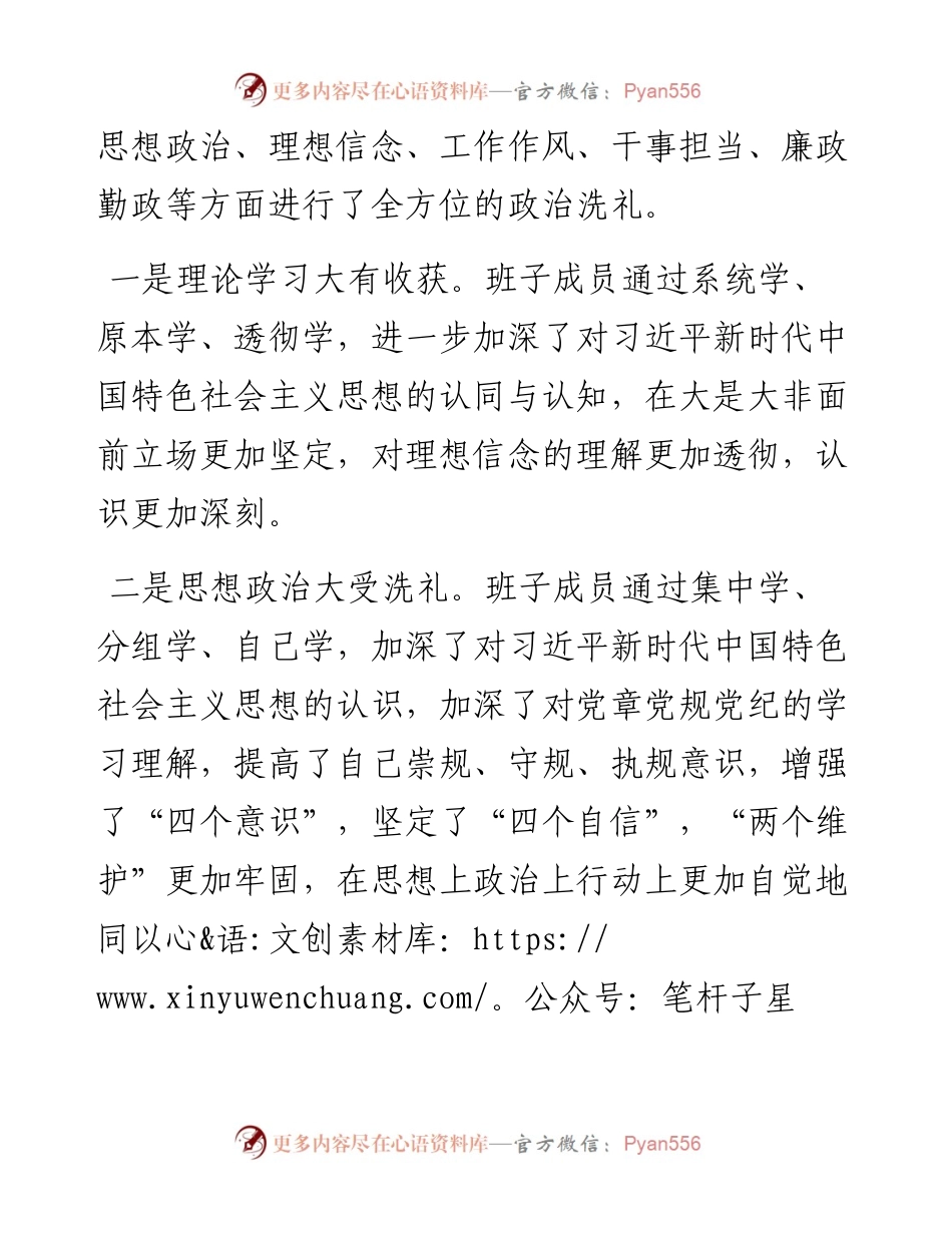 民主生活会班子检视剖析材料 (2).docx_第2页