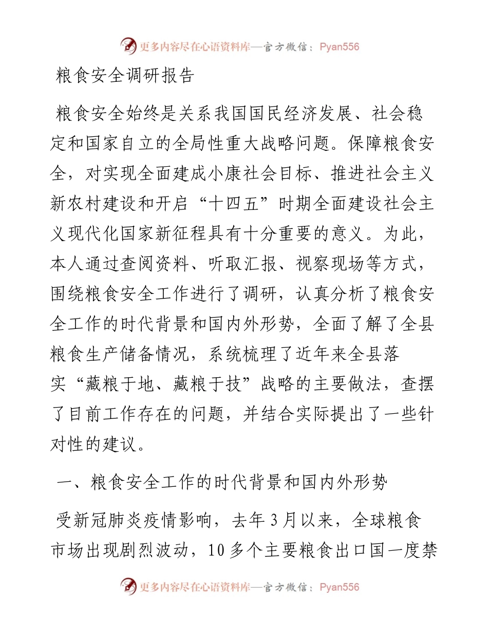粮食安全调研报告.docx_第1页