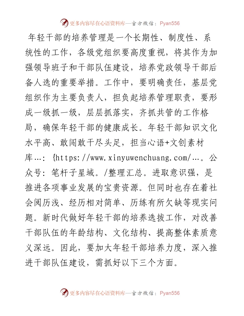 研讨发言：加大年轻干部培养力度 深入推进干部队伍建设.docx_第2页