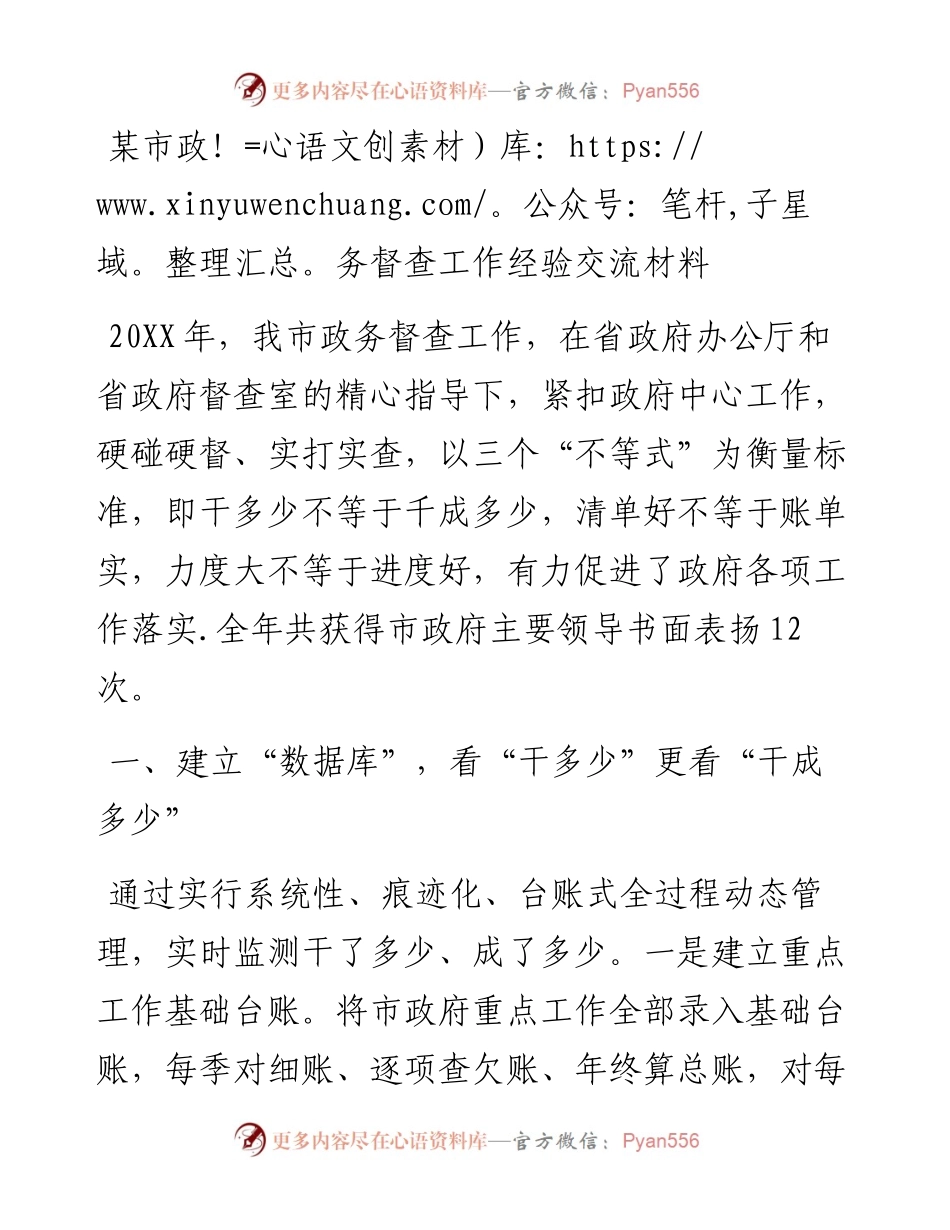 某市政务督查工作经验交流材料.docx_第1页