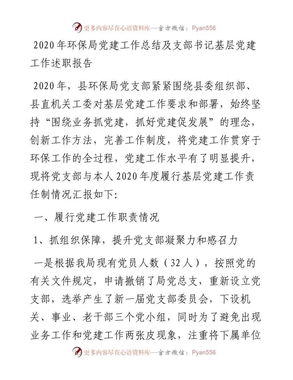 环保局党建工作总结及支部书记基层党建工作述职报告.docx_第1页