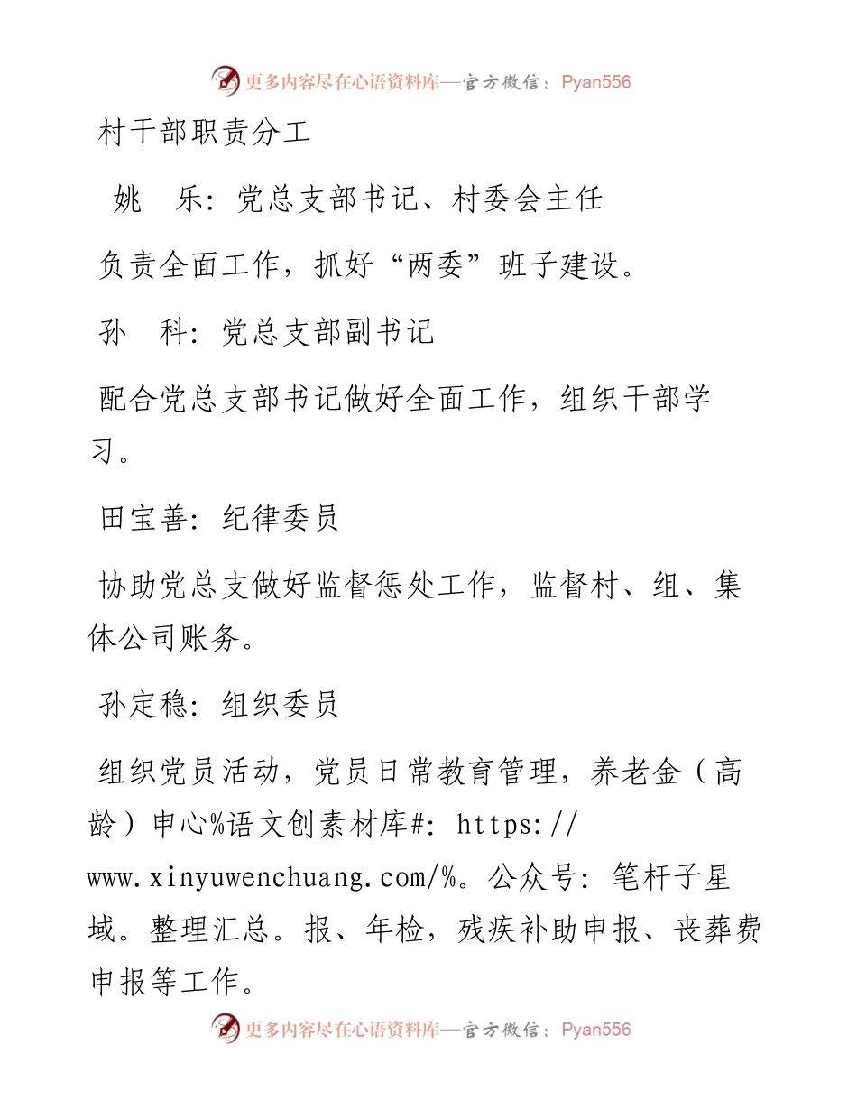 村干部职责分工.docx_第1页
