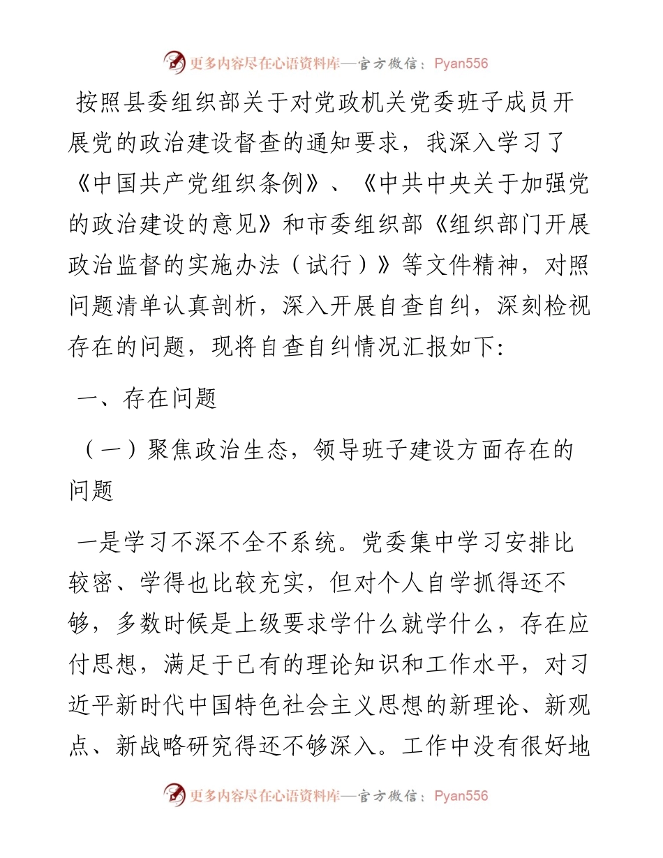 某乡乡长关于党的政治建设自查自纠报告.docx_第1页