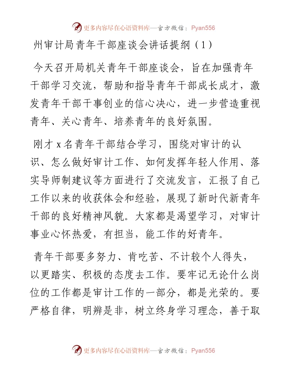 文汇系列3448--审计局青年干部座谈会讲话汇编.docx_第1页