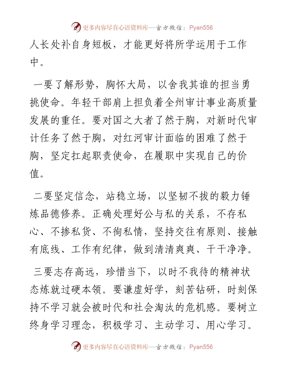 文汇系列3448--审计局青年干部座谈会讲话汇编.docx_第2页