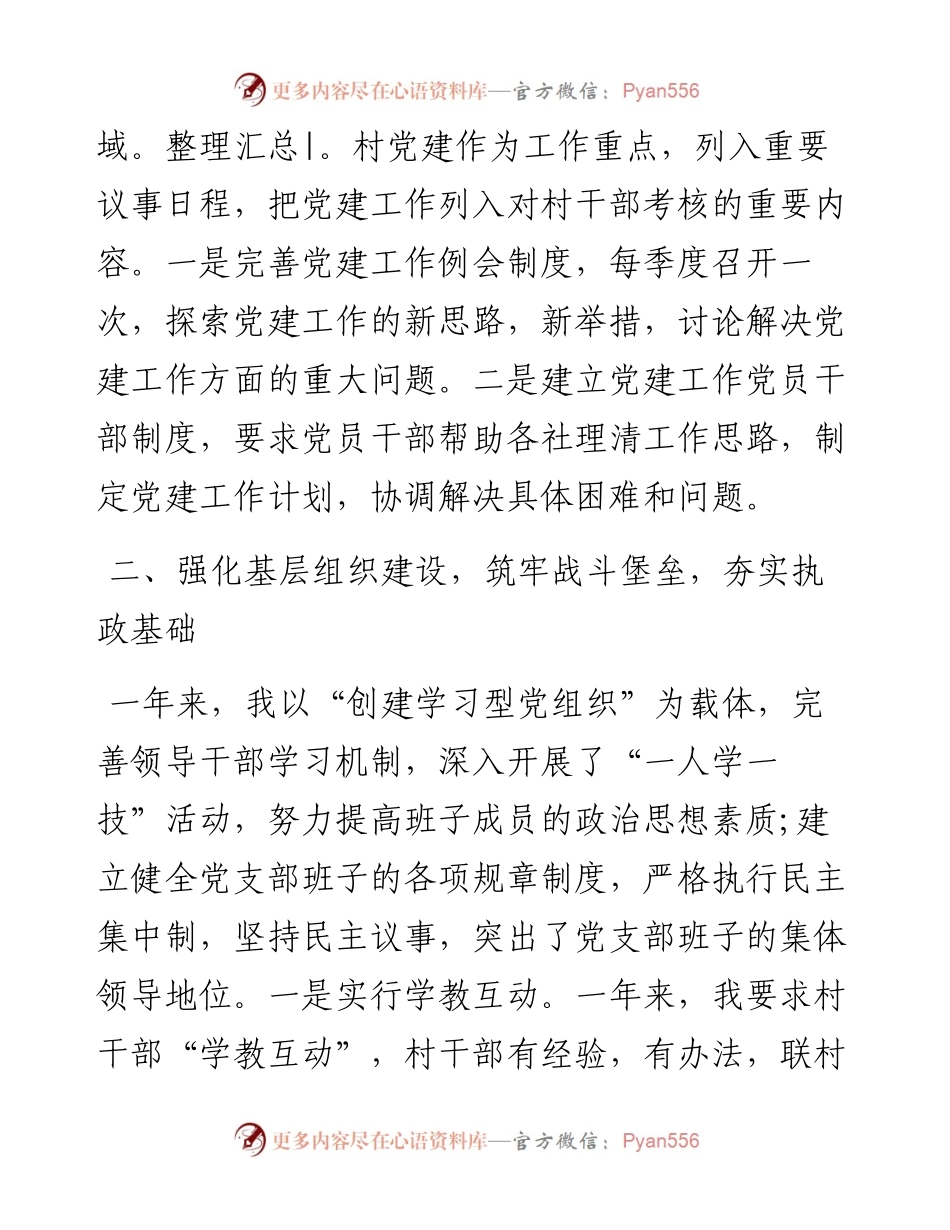 村党支部书记党建工作述职报告.docx_第2页
