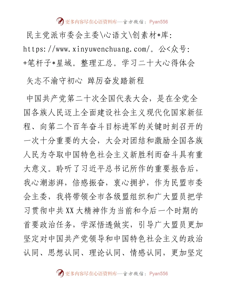 民主党派市委会主委学习二十大心得体会.docx_第1页