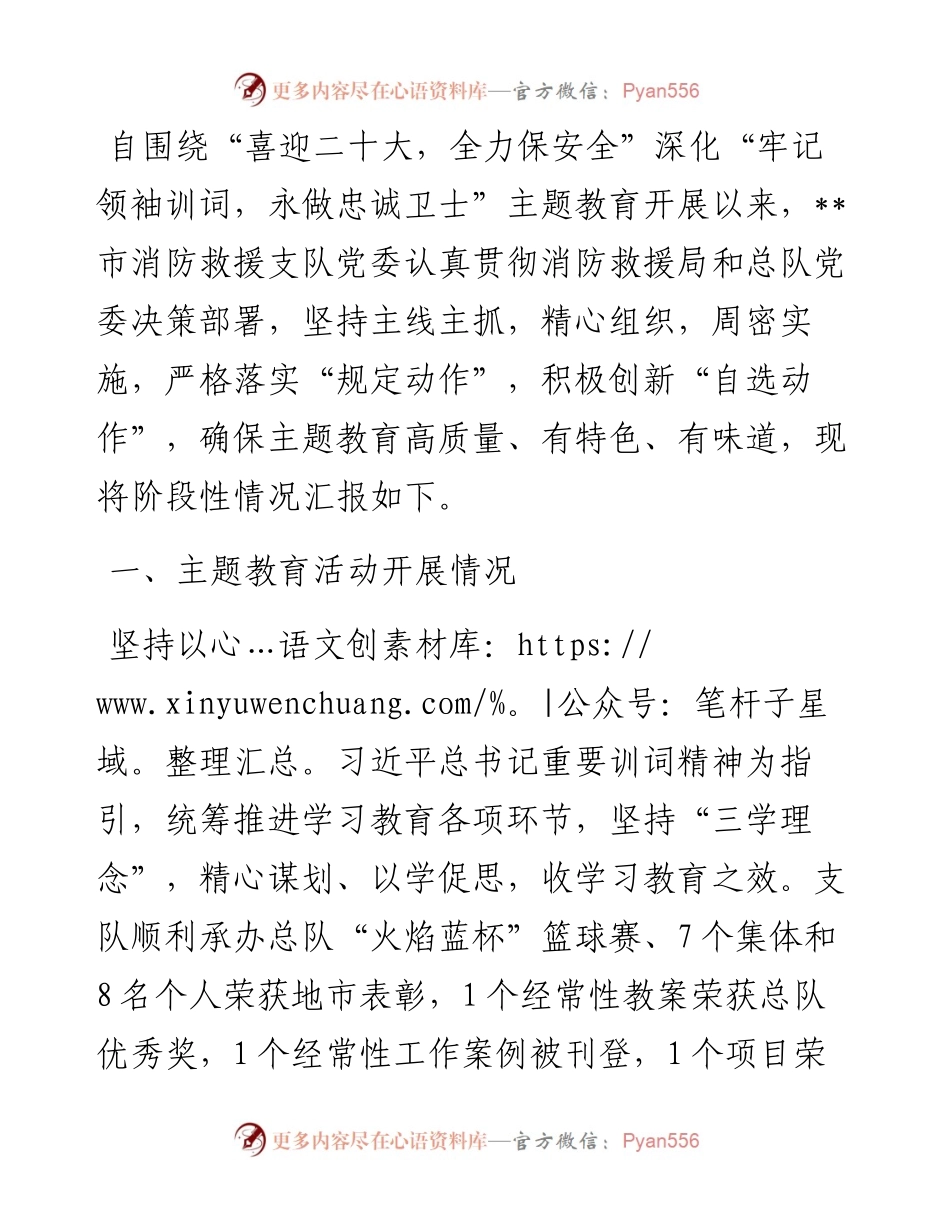 某消防救援支队主题教育阶段性总结报告.docx_第1页
