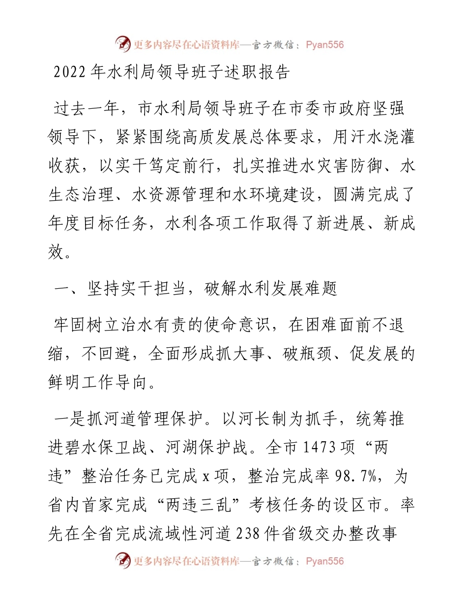 水利局领导班子述职报告.docx_第1页