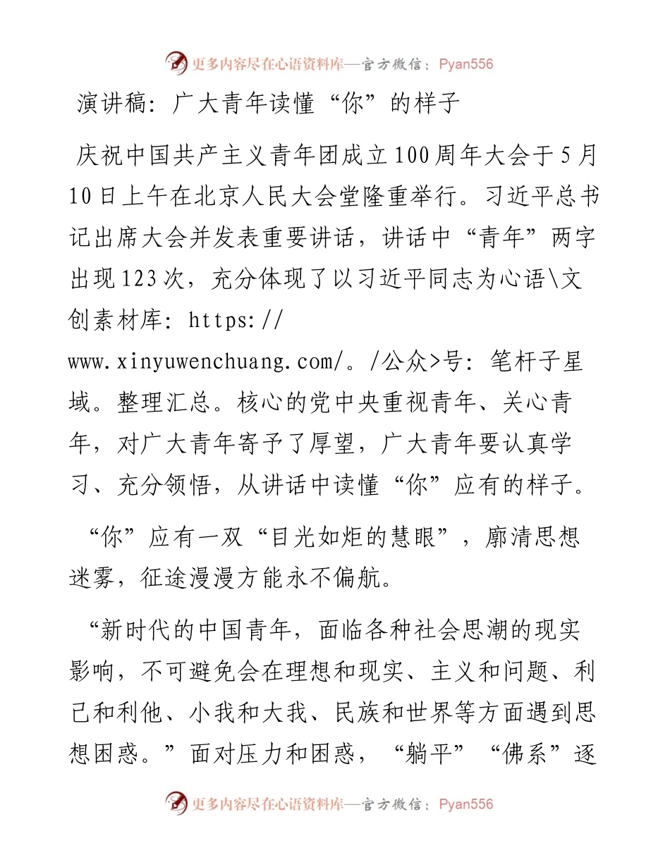 演讲稿：广大青年读懂“你”的样子.docx_第1页