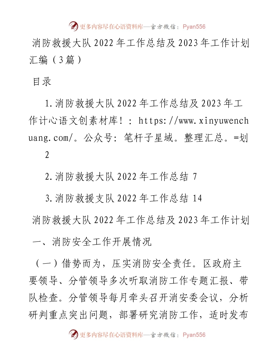 消防救援大队工作总结及2023年工作计划汇编（3篇）.docx_第1页