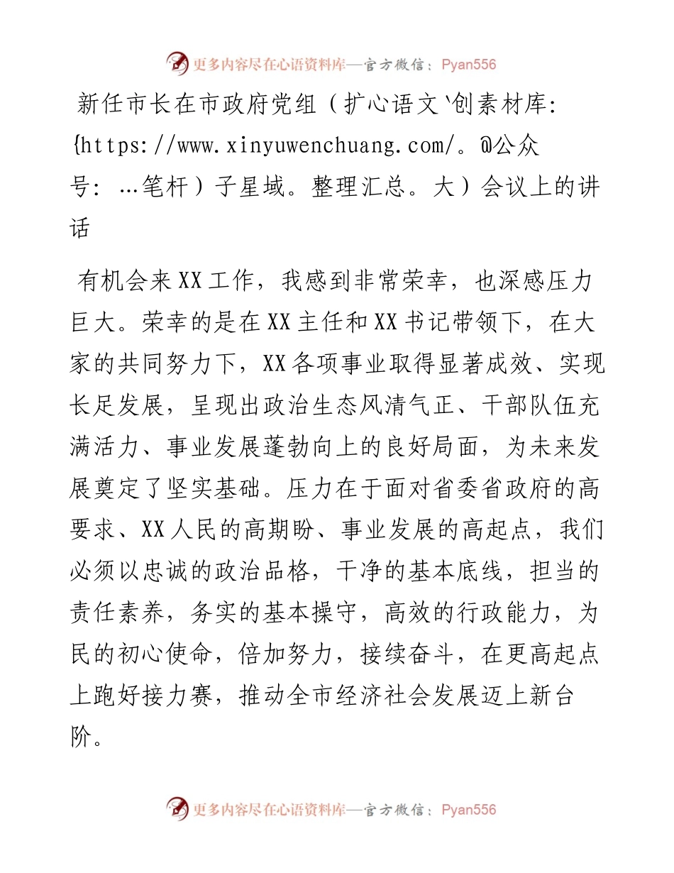 新任市长在市政府党组（扩大）会议上的讲话.docx_第1页