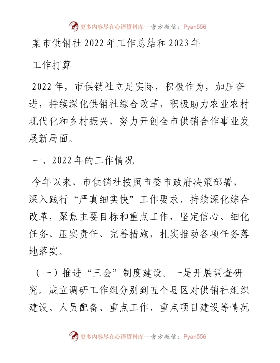 某市供销社工作总结和2023年工作打算(1).docx_第1页