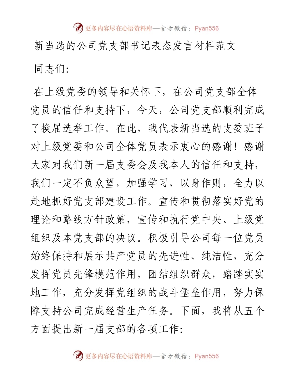 新当选公司党支部书记表态发言材料.docx_第1页