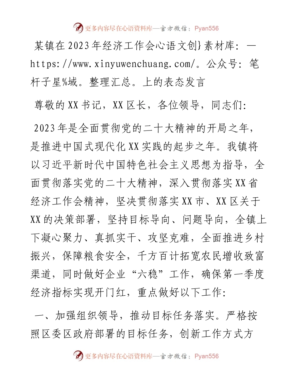 某镇在2023年经济工作会上的表态发言.docx_第1页