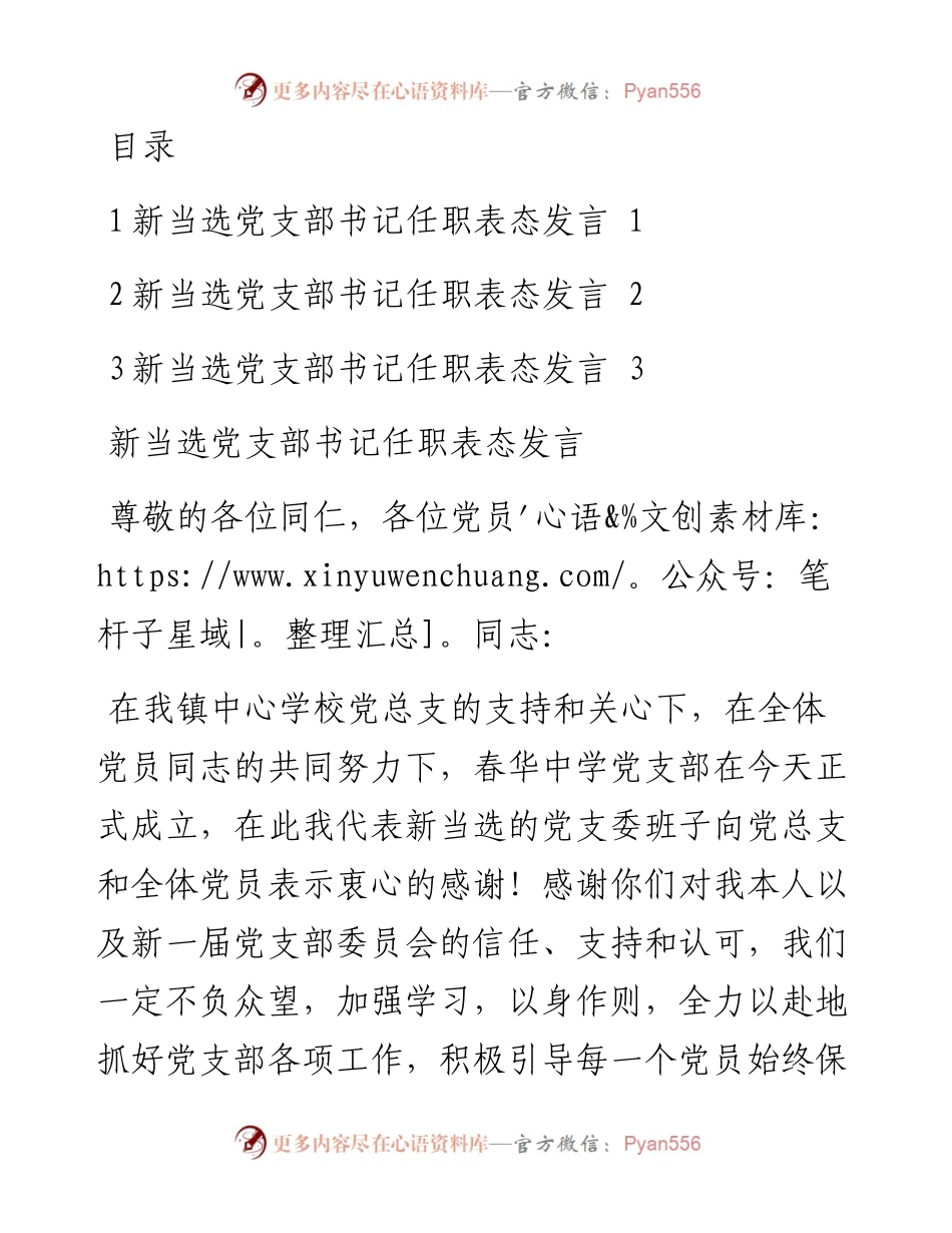 新当选党支部书记任职表态发言3篇.docx_第1页