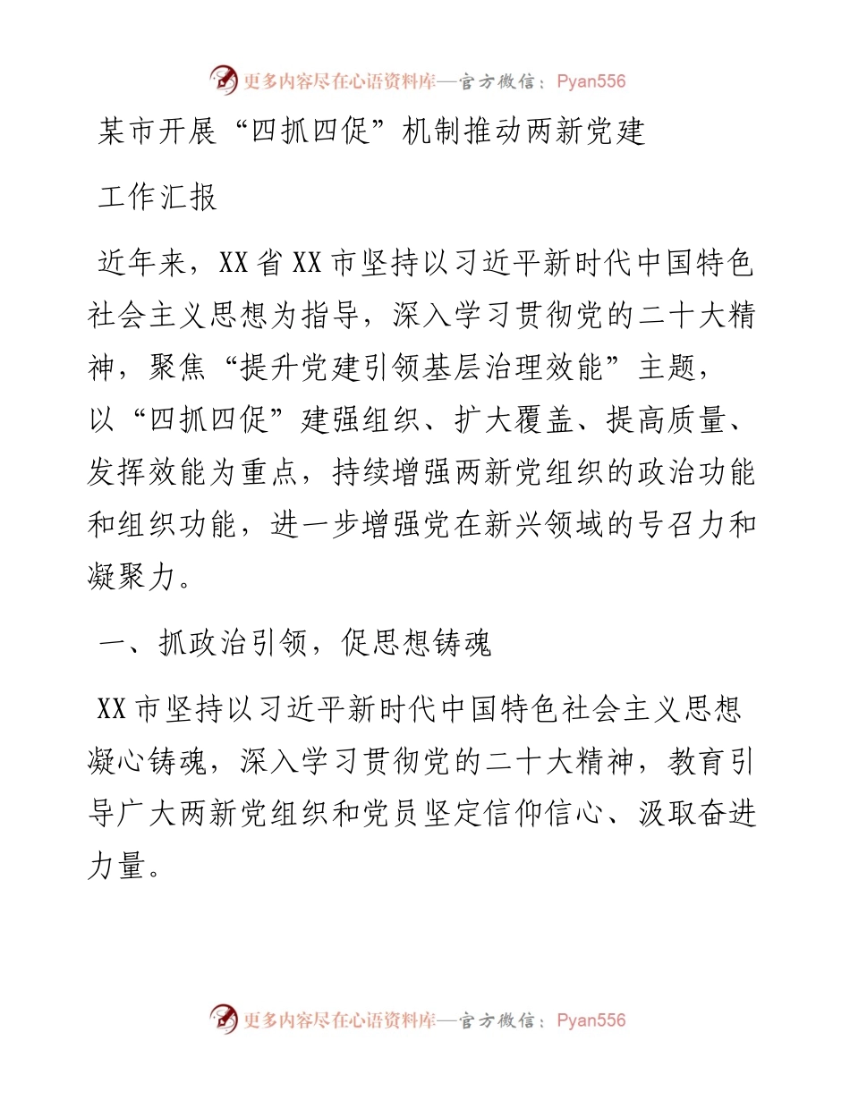 某市开展“四抓四促”机制推动两新党建工作汇报.docx_第1页