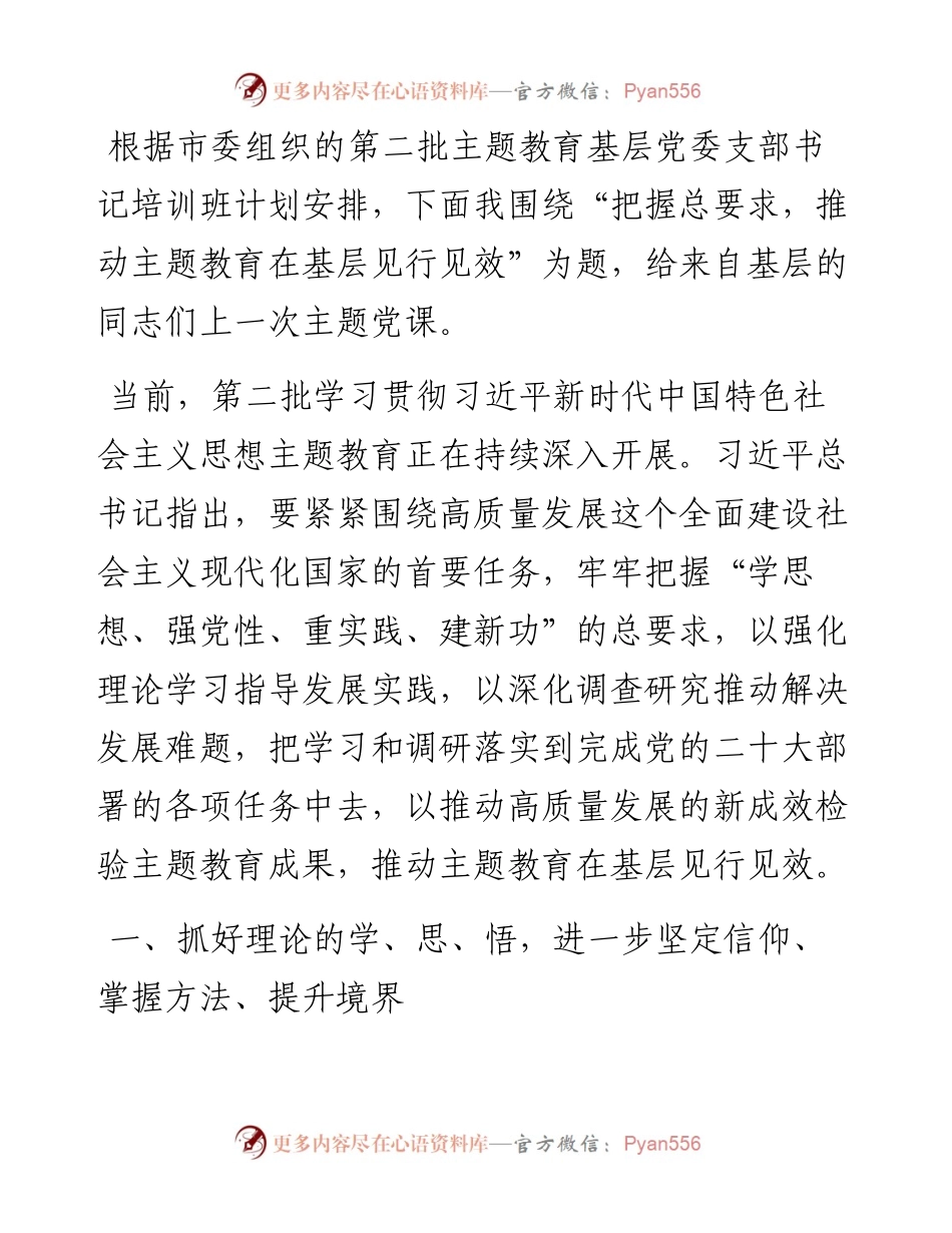 第二批主题教育专题党课：把握总要求 推动主题教育在基层见行见效.docx_第1页