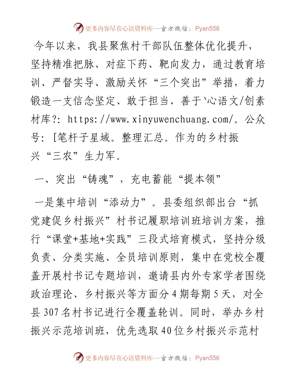 村干部队伍建设工作汇报.docx_第1页