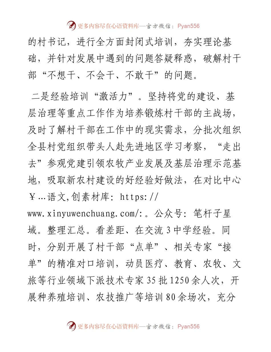 村干部队伍建设工作汇报.docx_第2页