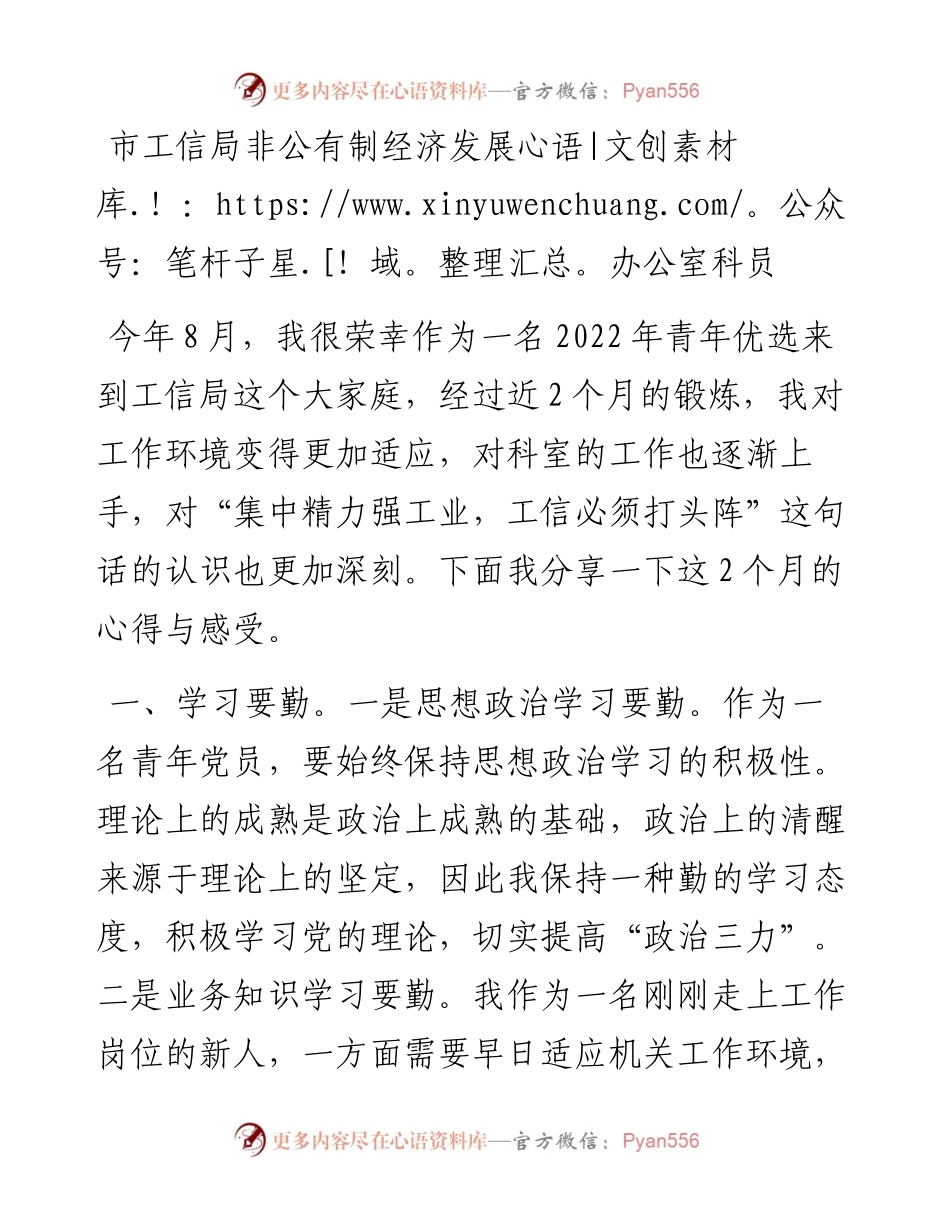 文汇系列5467--市工信局青年干部座谈会发言汇编.docx_第2页