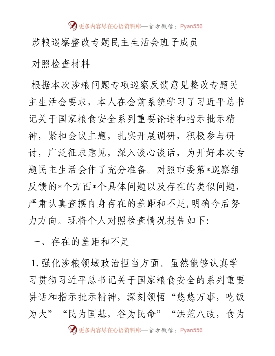 涉粮巡察整改专题民主生活会班子成员对照检查材料.docx_第1页