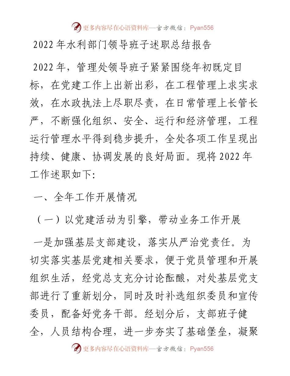 水利部门领导班子述职总结报告.docx_第1页