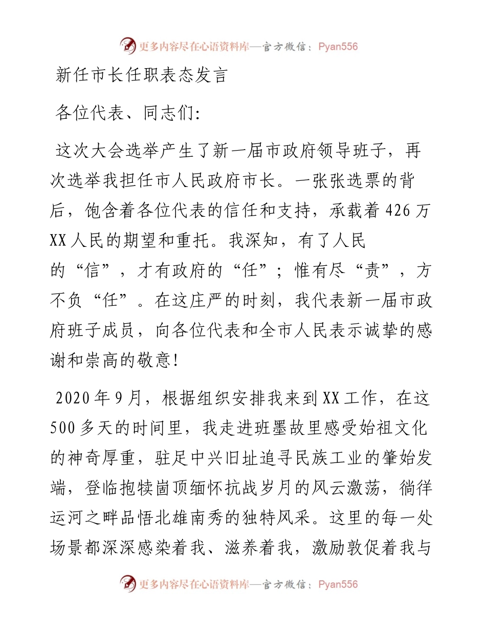 新任市长任职表态发言.docx_第1页