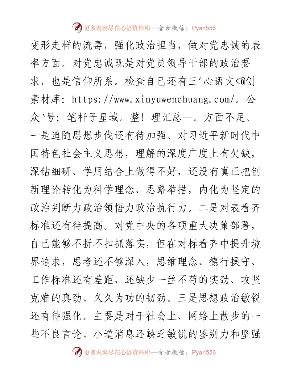 某市政府党组成员在肃清某某流毒专题民主生活会上的对照检查材料.docx_第2页