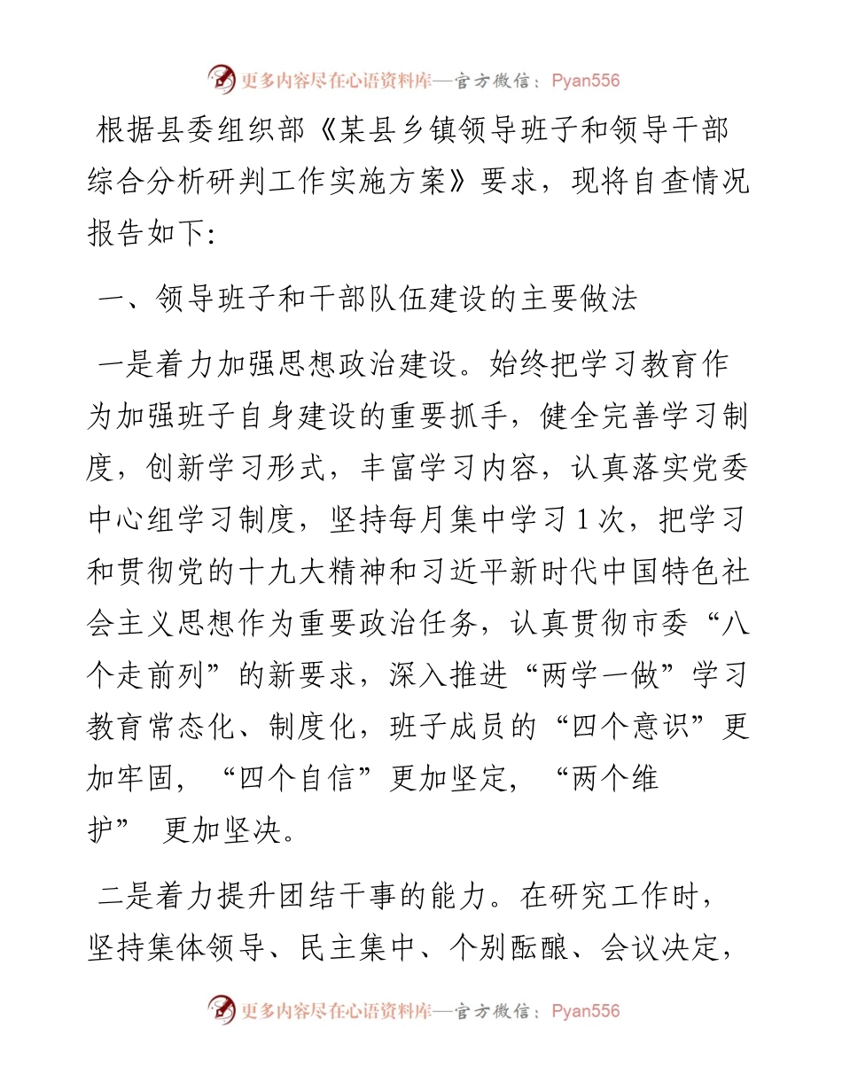 某镇领导班子分析研判自查报告.docx_第1页
