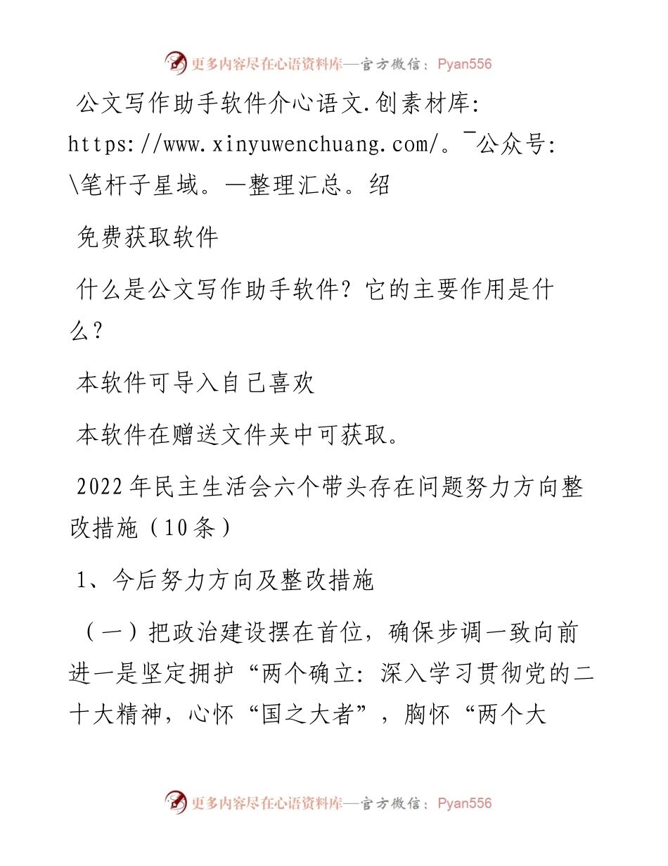 民主生活会六个带头存在问题努力方向整改措施（10条）.docx_第1页