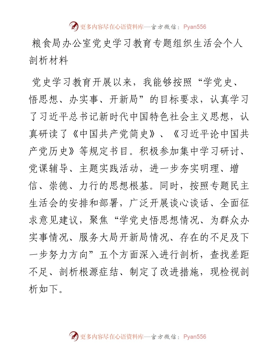 粮食局办公室党史学习教育专题组织生活会个人剖析材料.docx_第1页