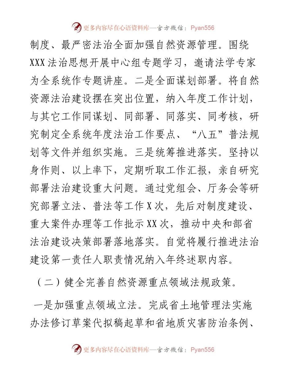 省自然资源厅202X年度法治政府建设工作情况报告.docx_第2页