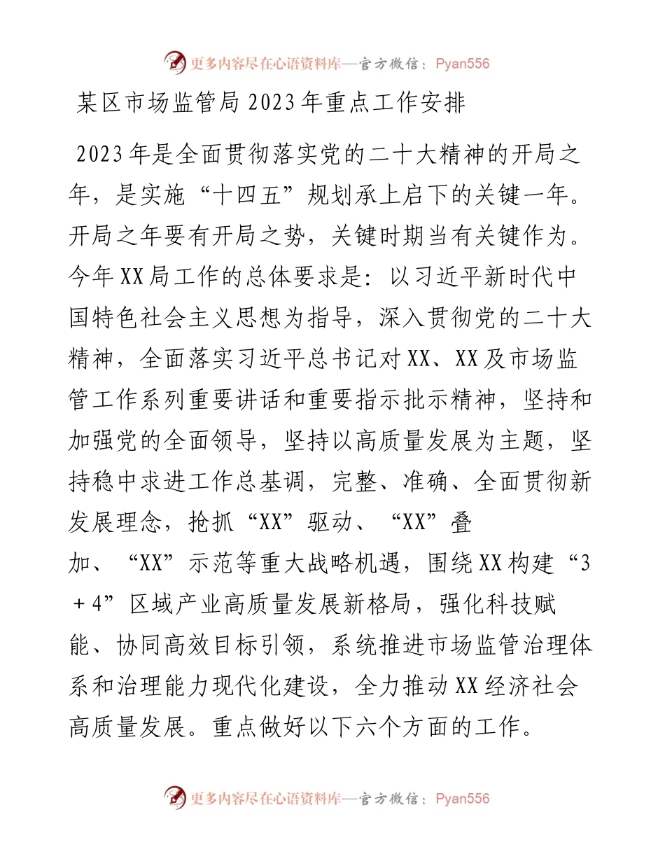 某区市场监管局2023年重点工作安排.docx_第1页