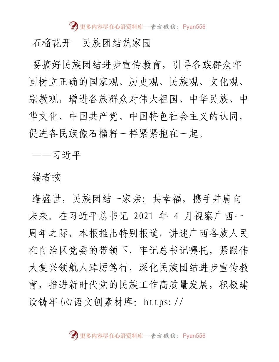 石榴花开  民族团结筑家园.docx_第1页
