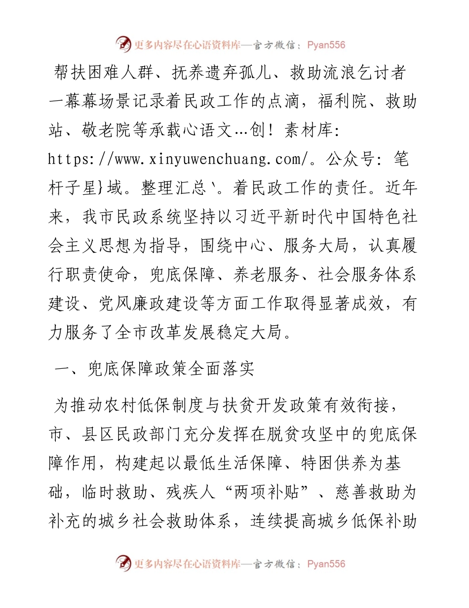 民政工作总结（市级）.docx_第1页