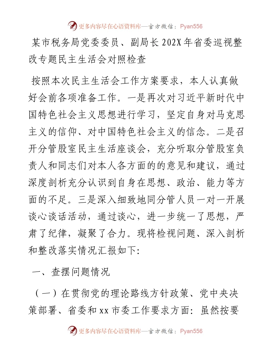 某市税务局党委委员、副局长202X年省委巡视整改专题民主生活会对照检查.docx_第1页