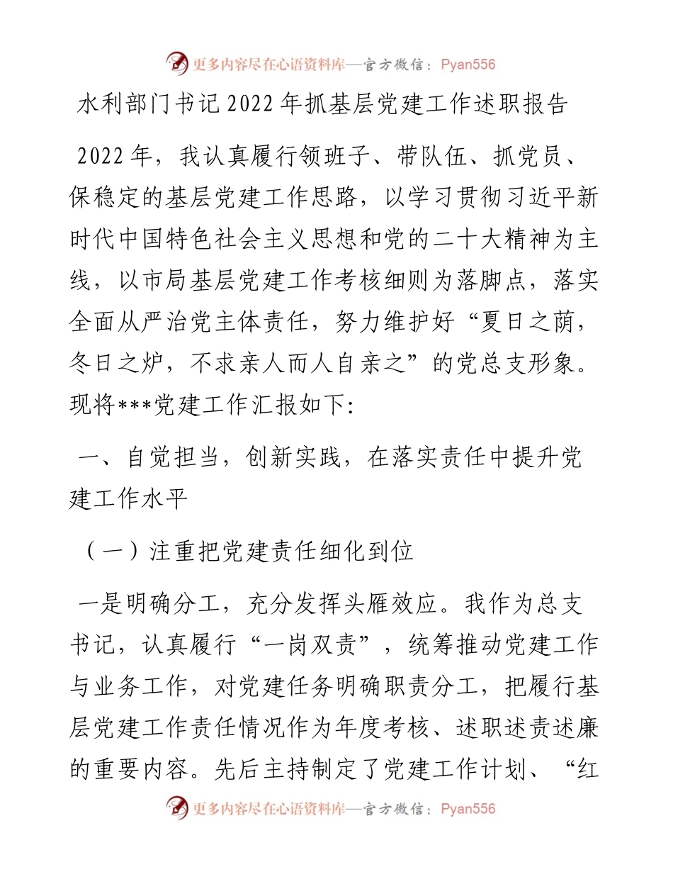 水利部门书记抓基层党建工作述职报告.docx_第1页