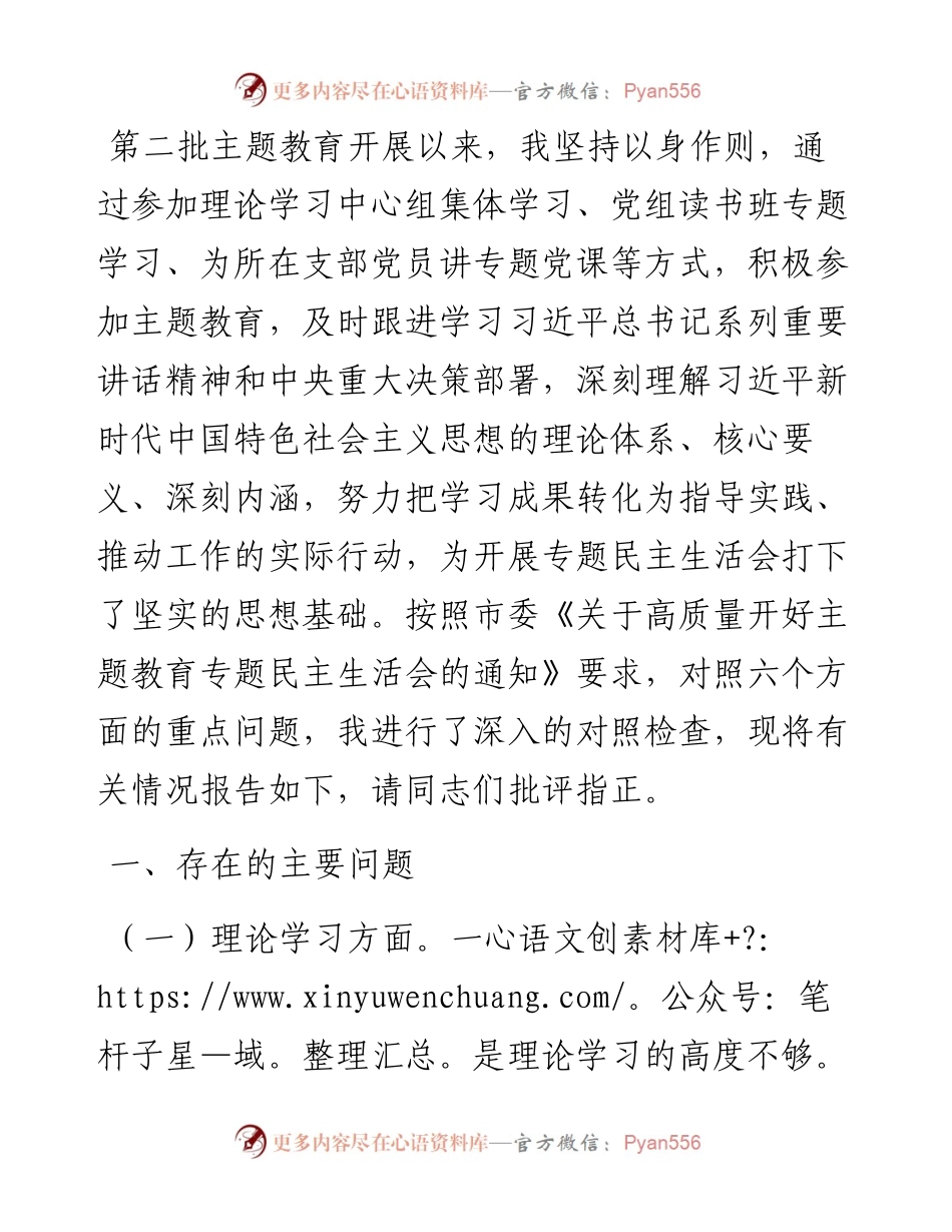 第二批主题教育专题民主生活会对照检查发言提纲.docx_第1页