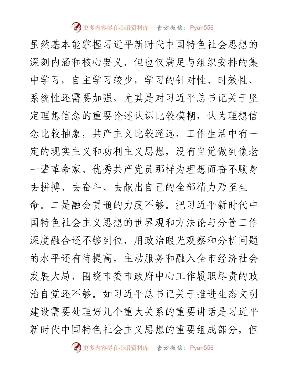 第二批主题教育专题民主生活会对照检查发言提纲.docx_第2页