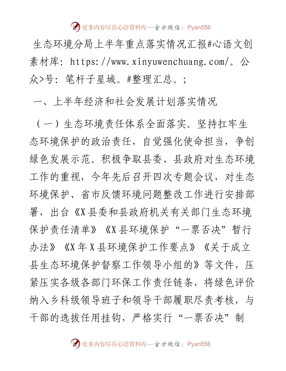 生态环境分局上半年重点落实情况汇报.docx_第1页