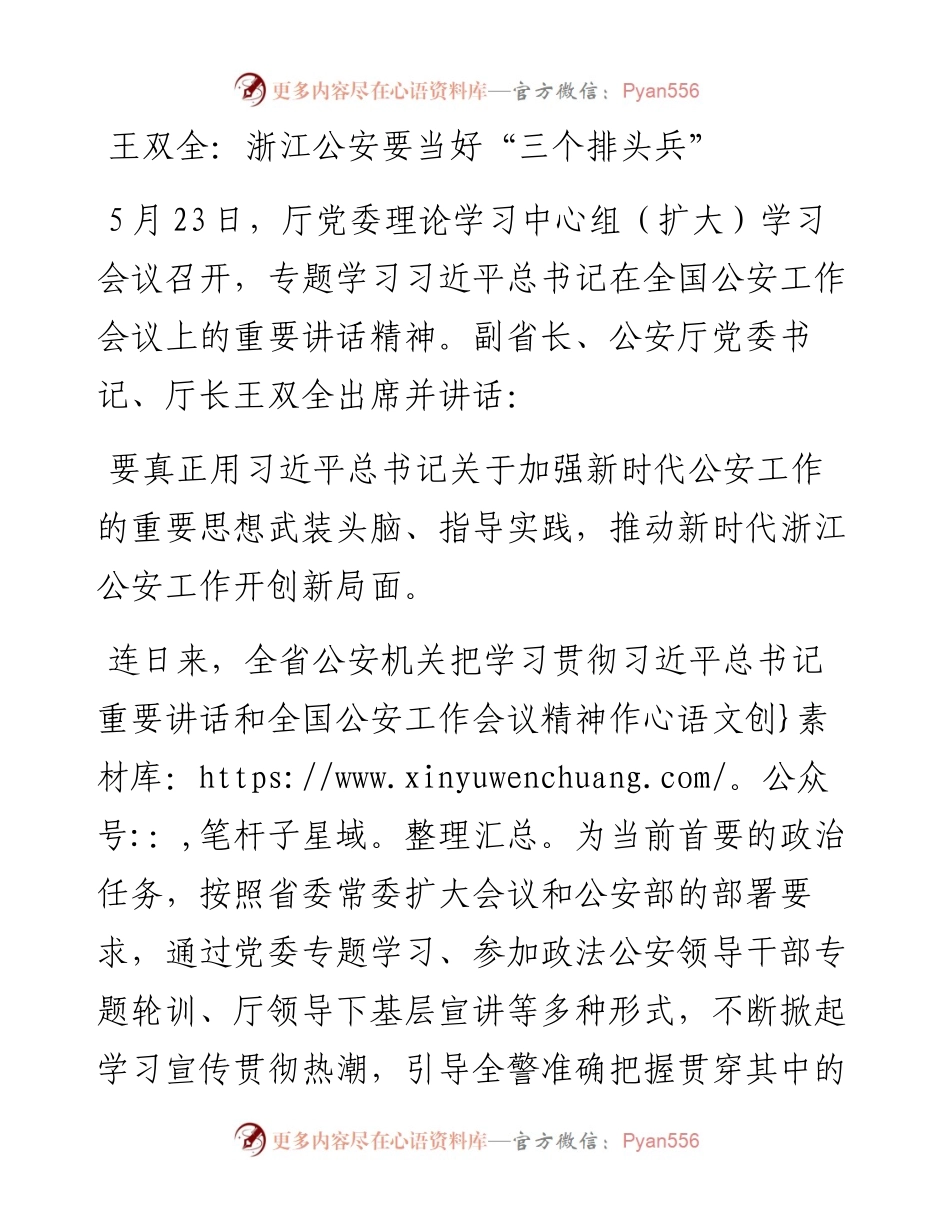 王双全：浙江公安要当好“三个排头兵”.docx_第1页